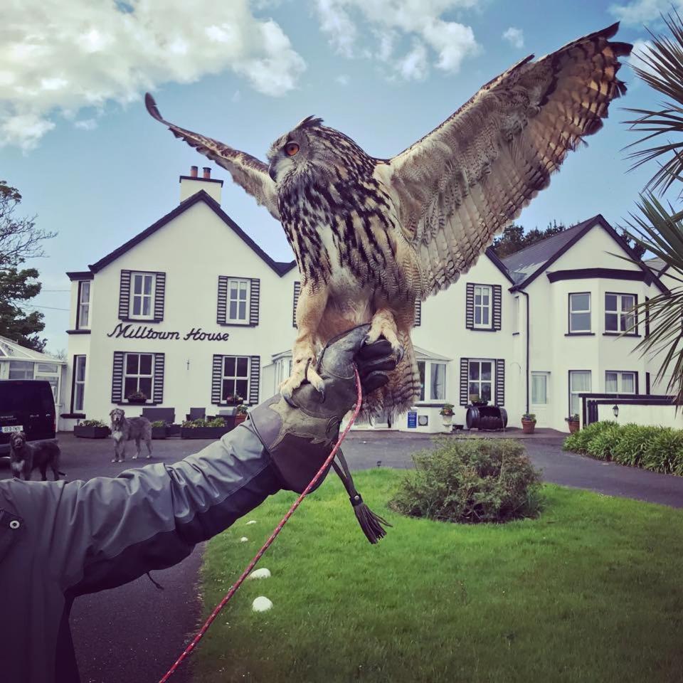 Milltown House Hotel 5*