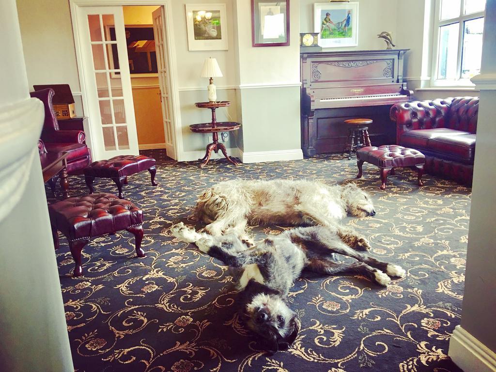 Hotel Milltown House